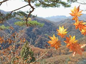 韩国明星机场街拍，时尚潮流的风向标标杆