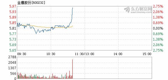 金鹰股份股票最新消息深度解读与分析