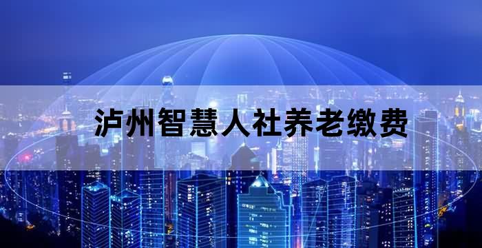 智慧泸州社保下载，社会保障服务新体验，便捷高效触手可及